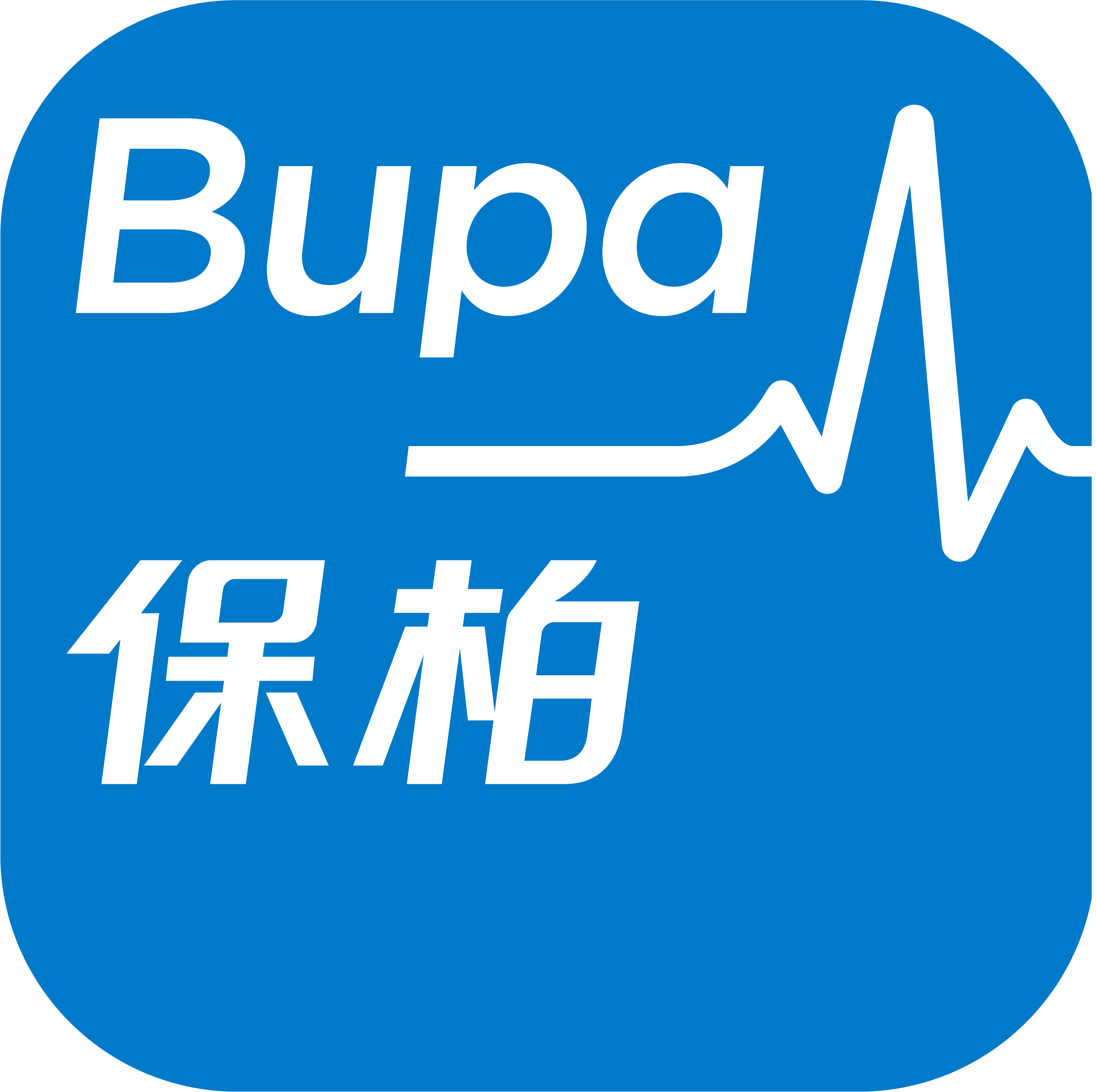 bupa hk logo